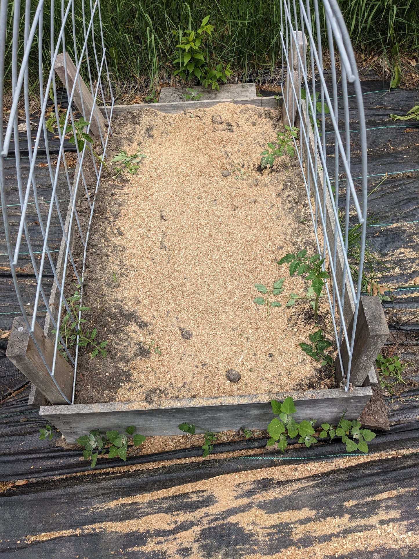 z  Animal Bedding Organic Woodchips